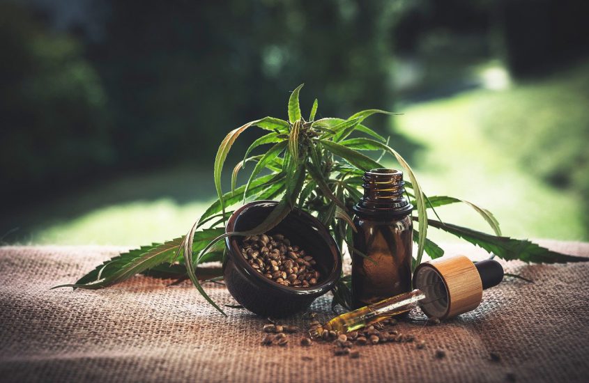Onderzoek naar de positieve invloed van CBD-olie op het menselijk lichaam