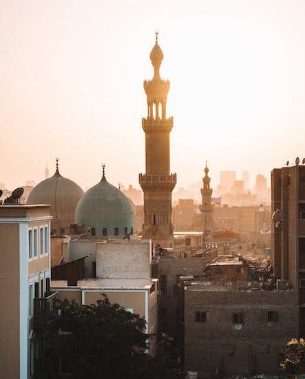 Wat is de syndicalisatiegraad van werknemers en professionals in vergelijking met andere arabische landen?